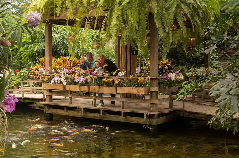 Tropische planten en dieren bij Pantropica